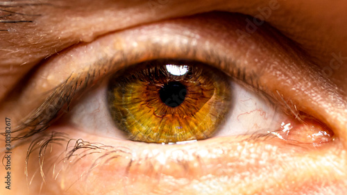 closeup of human eye