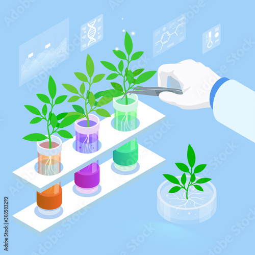 Isometric concept of laboratory exploring new methods of plant breeding and agricultural genetics. Plants growing in the test tubes. Organic food ,agriculture and hydroponic