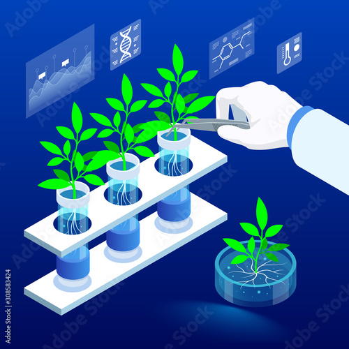 Isometric concept of laboratory exploring new methods of plant breeding and agricultural genetics. Plants growing in the test tubes. Organic food ,agriculture and hydroponic