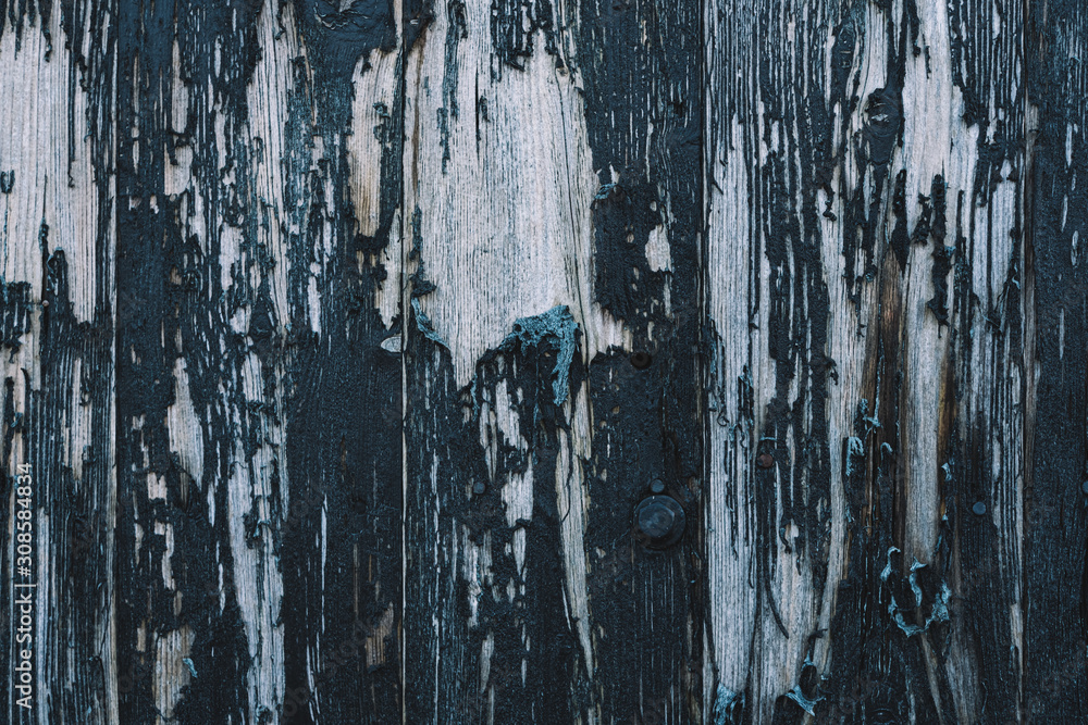 Fototapeta premium blue grunge background
