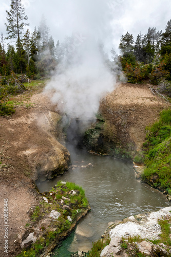 Mud Volcano on Hayden Valley Geyser Basin in the Yellowstone