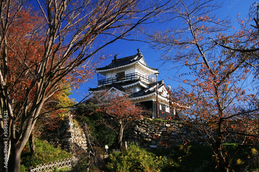 日本の秋 紅葉と浜松城 日本の秋 紅葉と浜松城