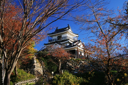 日本の秋　紅葉と浜松城