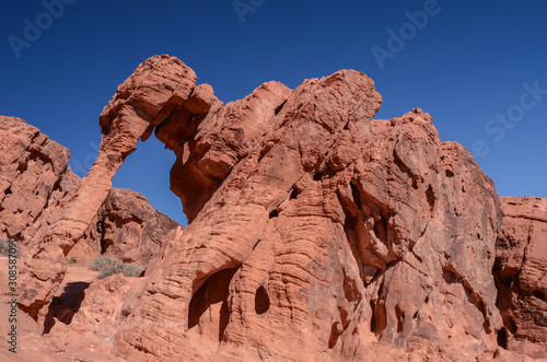 Famous iconic Elephant Rock formation against a cloudless sky in Valley of Fire State Park, Nevada, USA
