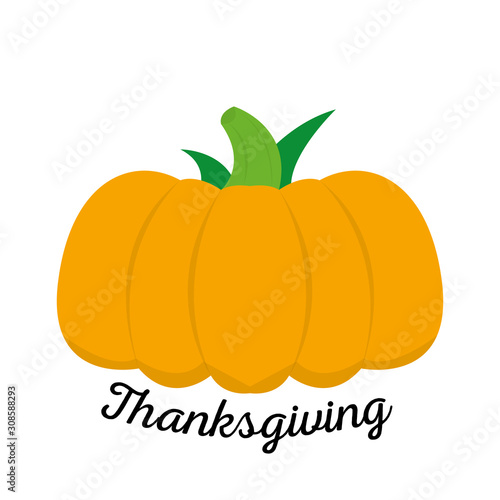 Pumpkin icon with thanksgiving text - Vector illustration