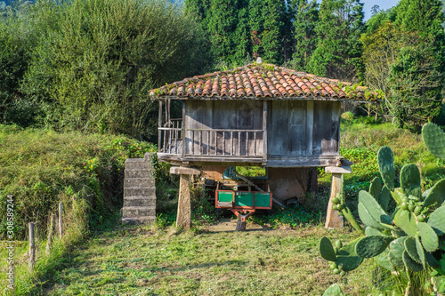 Horreo, old wooden building used as elevated granary. Cangas de Onis, Asturias, Spain