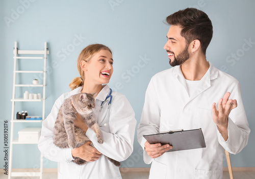 Veterinarians with cute cat...