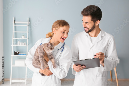 Veterinarians with cute cat...