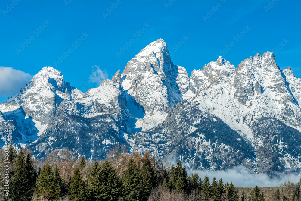 Snow Covered Mountain Peaks, forest trees 