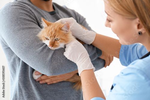 Owner with cat visiting vet...