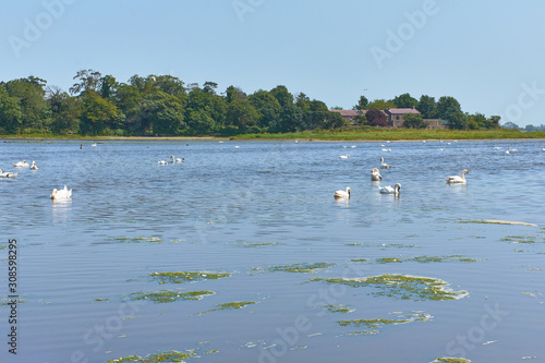 Photography dublin landscape nature in ireland