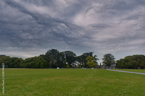 Phoenix park on a cloudy and gray day in Dublin