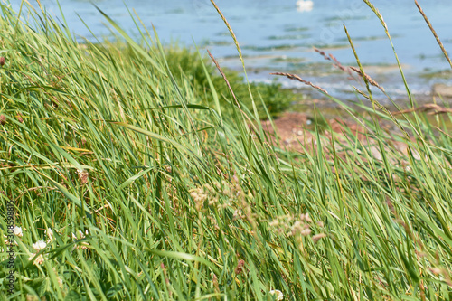 Photography dublin landscape nature in ireland