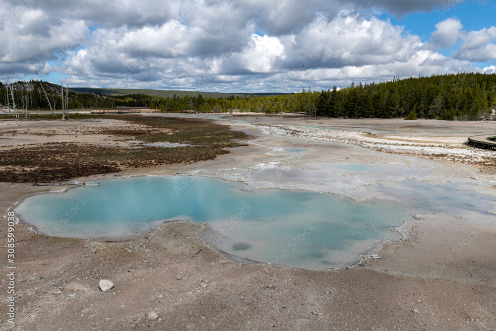 Norris Geyser Basin in the Yellowstone Norris Geyser Basin in the Yellowstone