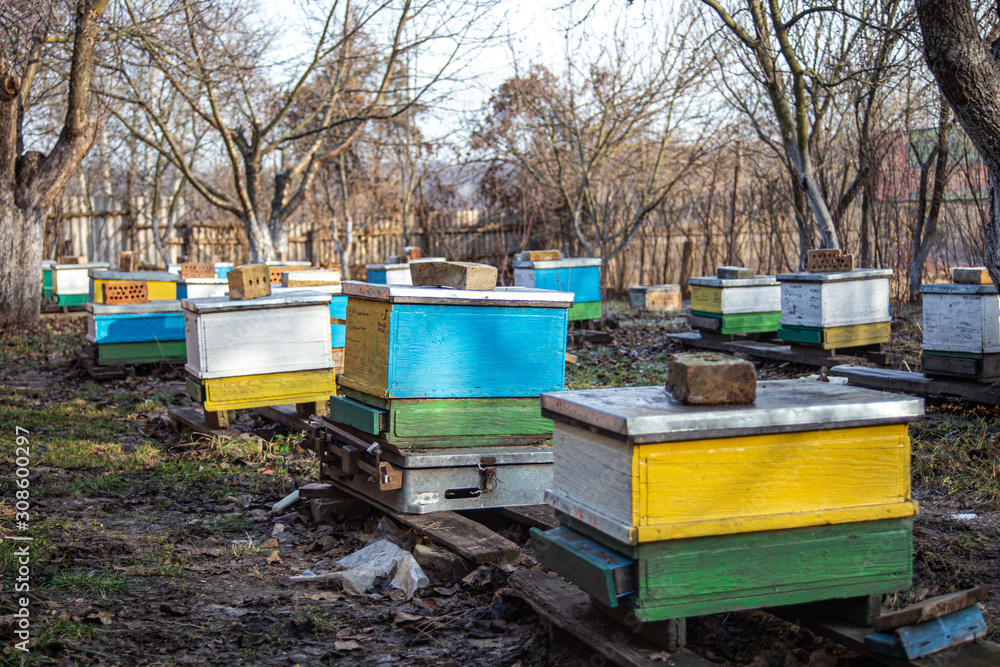 Preparing bees for wintering. Hives on apiary in December in Europe. old apiary of multi-hull hives. Honeybees in winter. Preparing bees for wintering. Hives on apiary in December in Europe. old apiary of multi-hull hives. Honeybees in winter.