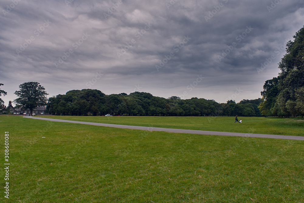 Phoenix park on a cloudy and gray day in Dublin