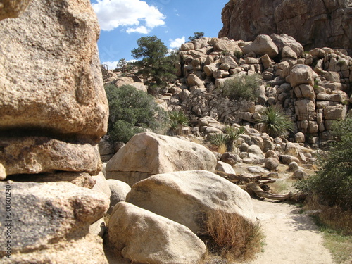 Joshua tree national park im süden von californien usa