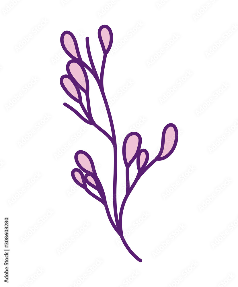 Naklejka premium pink ecology branch leaves foliage decoration