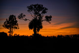 Sunrise at Babcock Wildlife Management Area near Punta Gorda, Florida