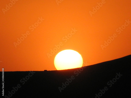 Rinder Herde läuft über den Bergrücken genau durch die untergehende Sonne in Kalifornien USA 