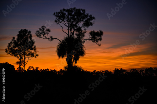 Sunrise at Babcock Wildlife Management Area near Punta Gorda, Florida