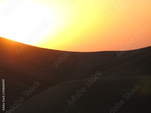 Rinder Herde läuft über den Bergrücken genau durch die untergehende Sonne in Kalifornien USA  © Alexander