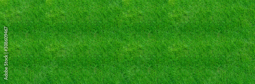 Green grass texture for background. Close-up image.