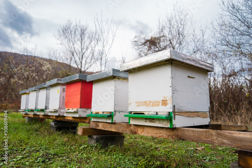 bee hive apiary in the field in autumn day on the platform on the grass