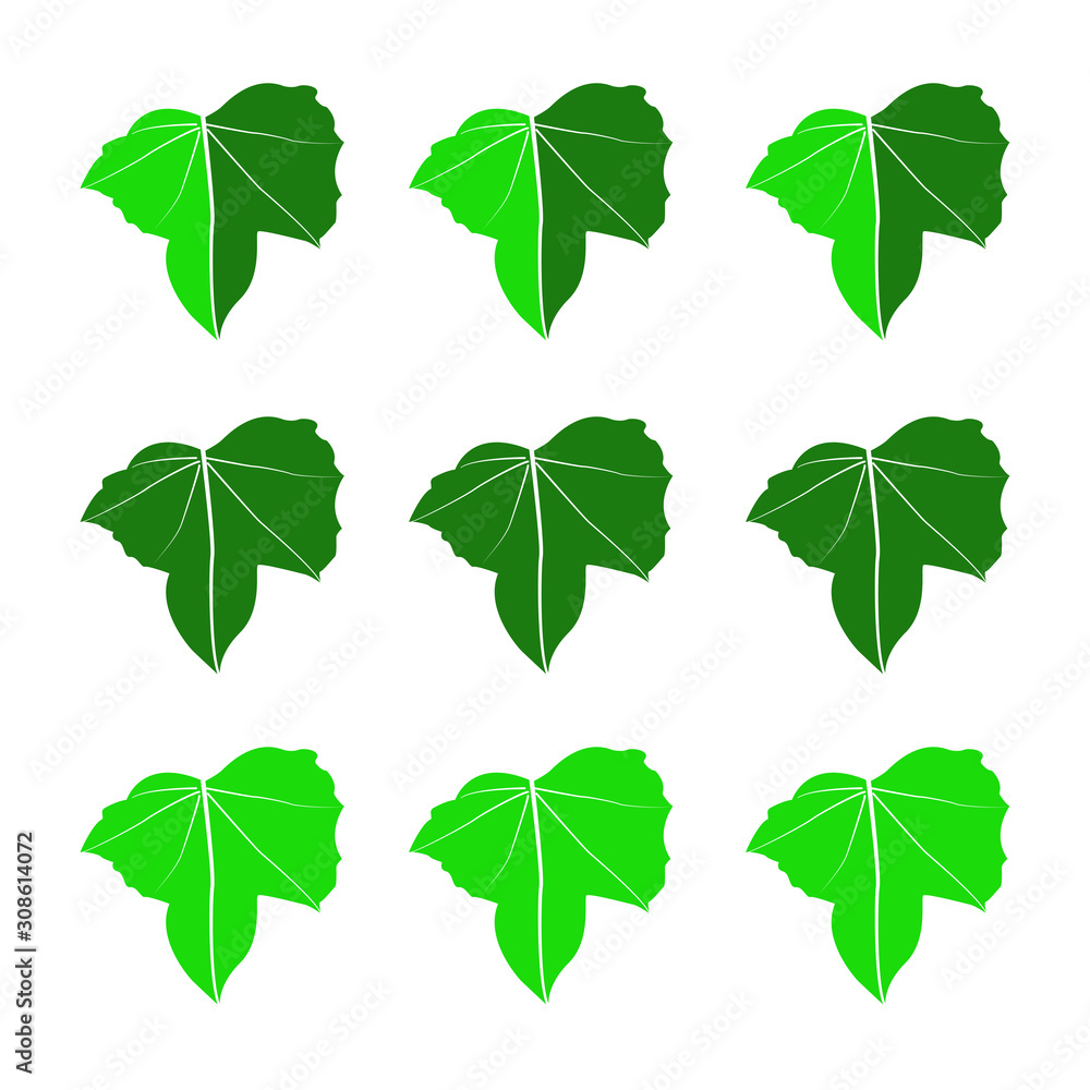 Leaf icon. Design template vector Leaf icon. Design template vector