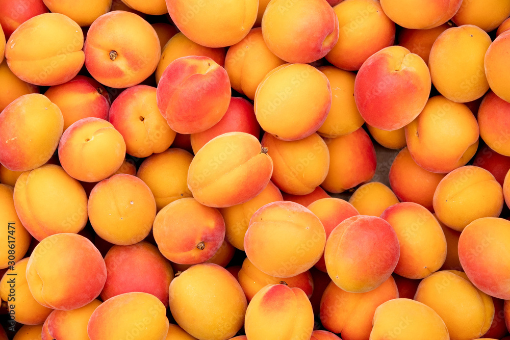heap of fresh and juicy apricots heap of fresh and juicy apricots