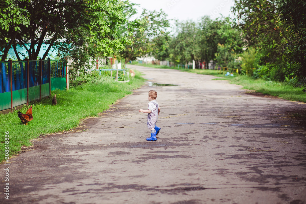 child running to catch the rooster child running to catch the rooster