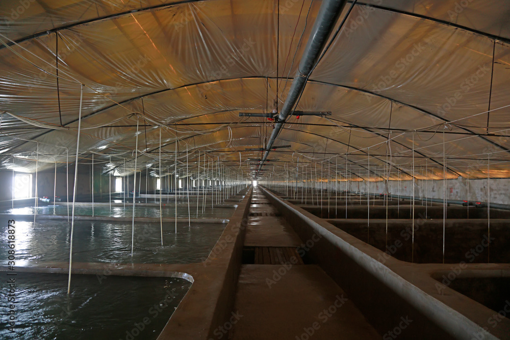 Fototapeta premium Sea water factory farm
