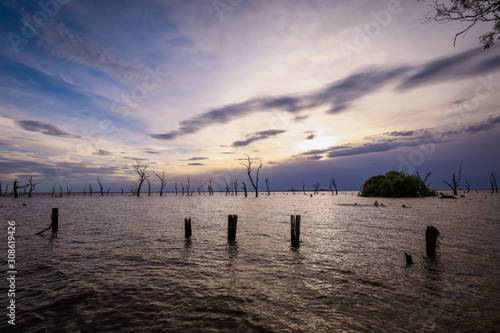 apocalyptic, australia, background, bare, bark, beautiful, beauty, clouds, cloudscape, cloudy sky, continent, dead tree, dead trees, disk, dusk, evening, eye catching, kow, kow swamp, landscape, nativ photo