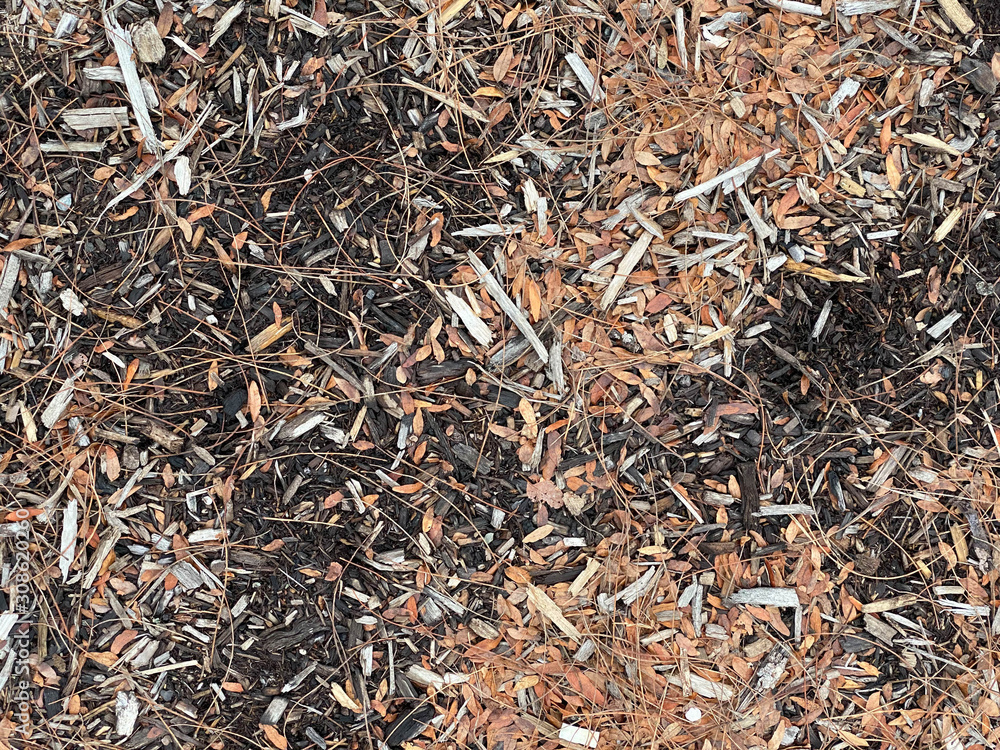 wood chips leaves pebbles autumn texture wood chips leaves pebbles autumn texture