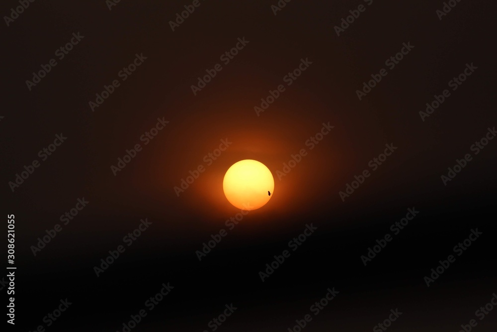 the sun and moon the sun and moon