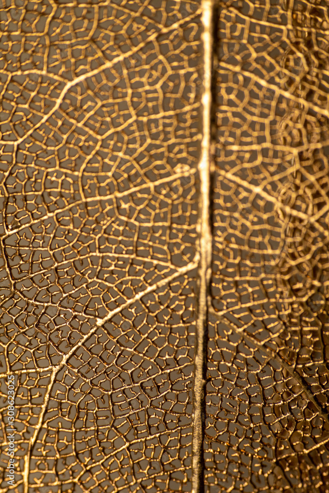 Gold plated leaf jewelry background abstract.