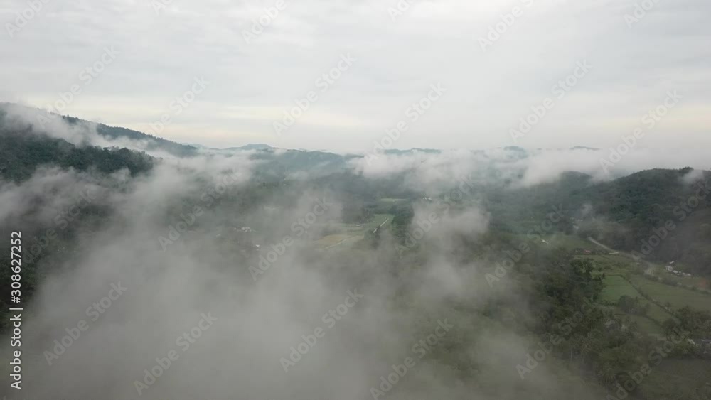 tropical rainforest going through fogs drone shot in malaysia tropical rainforest going through fogs drone shot in malaysia