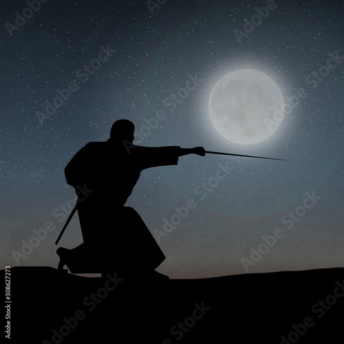 A Samurai Under The Moonlight