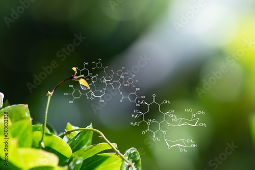 Plants background with biochemistry structure.