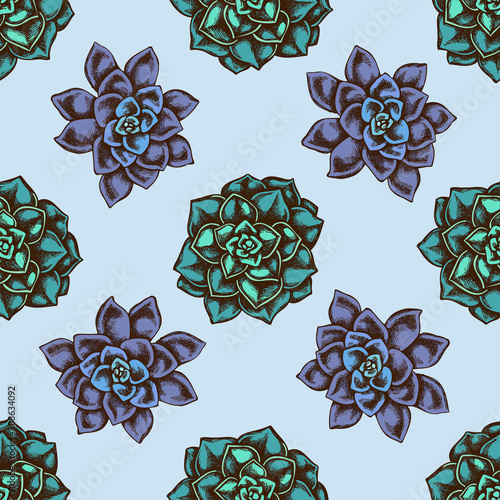 Seamless pattern with hand drawn colored succulent echeveria