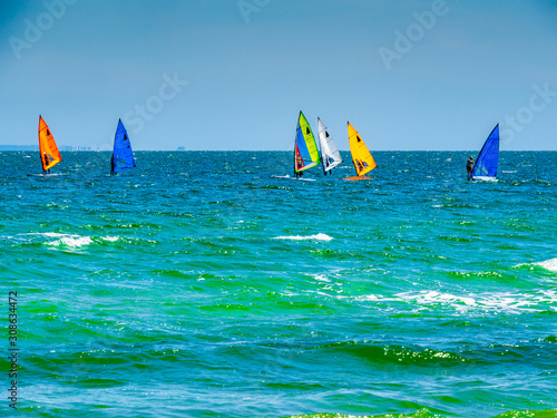 Windsurf Flotilla © david hutchinson