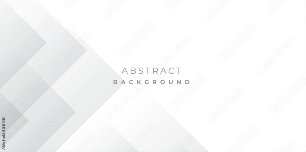 Fototapeta premium White Grey Silver Box Rectangle Abstract Background Vector Presentation Design