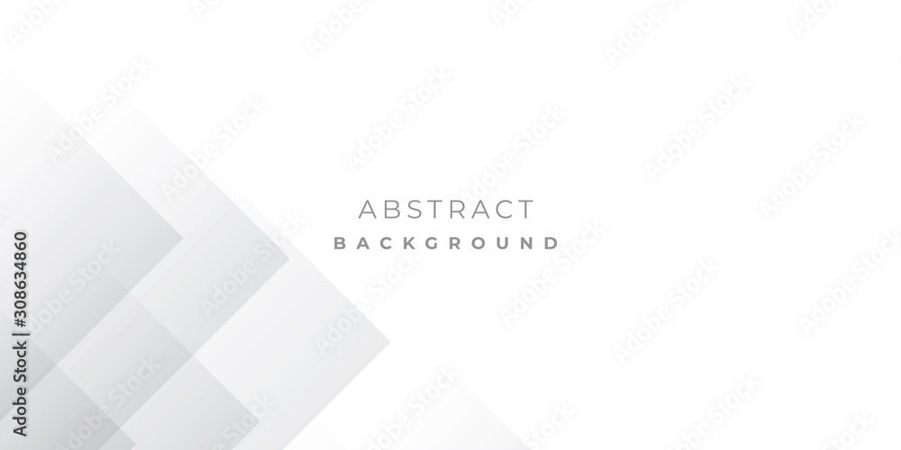 Fototapeta premium White Grey Silver Box Rectangle Abstract Background Vector Presentation Design