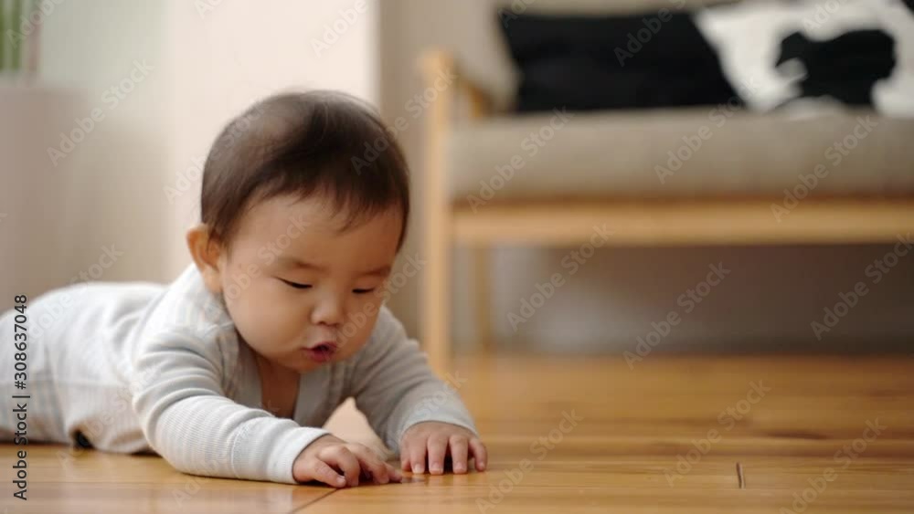 赤ちゃん はいはい 赤ちゃん はいはい