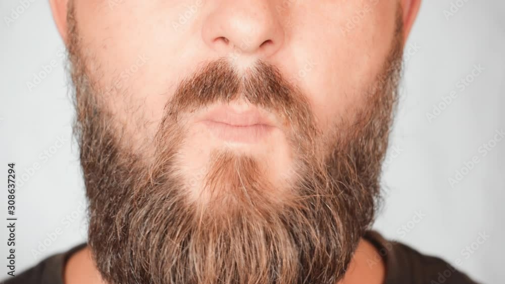close up lower part face adult man with a beard eating french fries with mayonnaise close up lower part face adult man with a beard eating french fries with mayonnaise