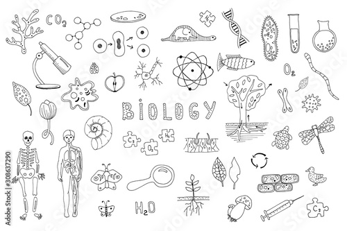 Foto Set of objects, symbols biology lesson