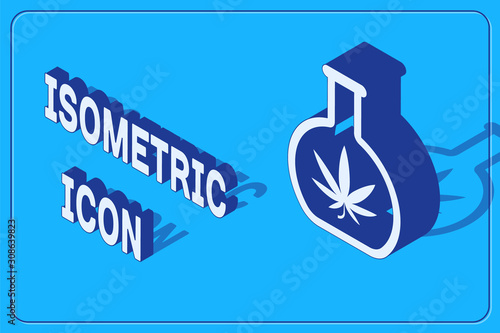 Isometric Chemical test tube with marijuana or cannabis leaf icon isolated on blue background. Research concept. Laboratory CBD oil concept. Vector Illustration