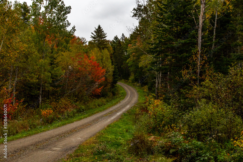 A Beautiful Mountain Road in Autumn