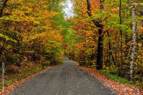 Fototapeta Naklejka Na Ścianę i Meble -  A Beautiful Mountain Road in Autumn