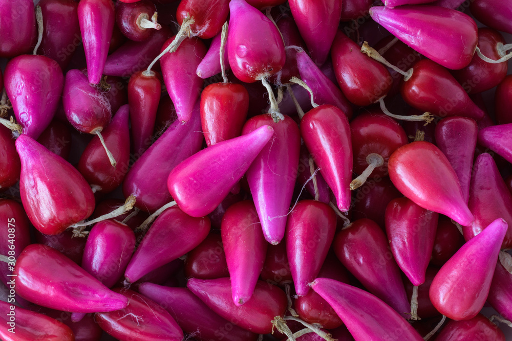 Fototapeta premium Full Frame Shot Of Pink Acid Pitigüey Fruit Background. Tropical Fruit
